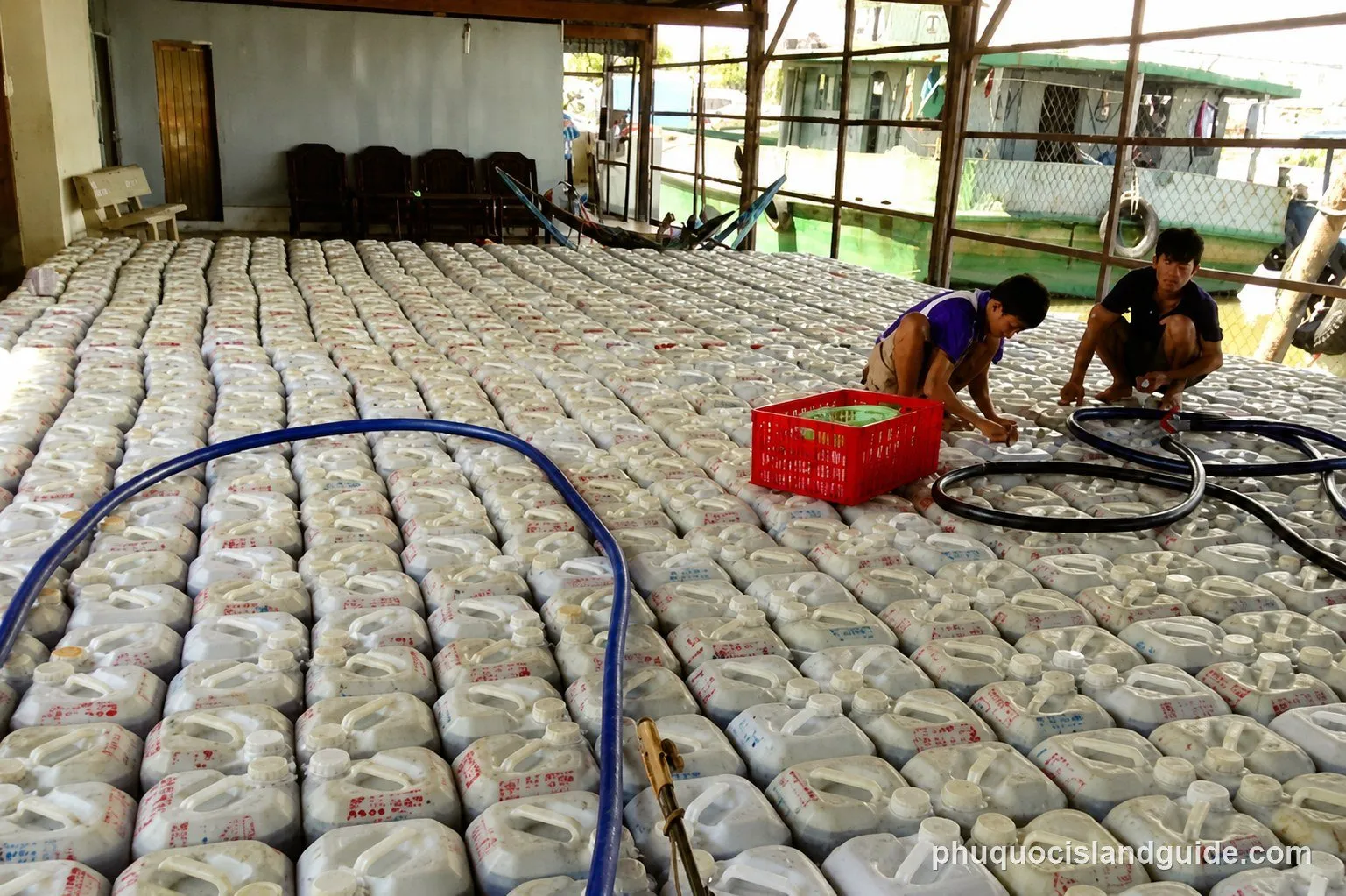 Two men work among hundreds of white plastic containers filling a large indoor space, with boats visible on water in the background.