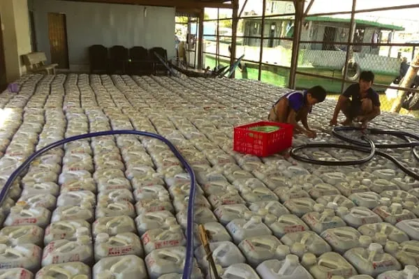 Two men work among hundreds of white plastic containers filling a large indoor space, with boats visible on water in the background.