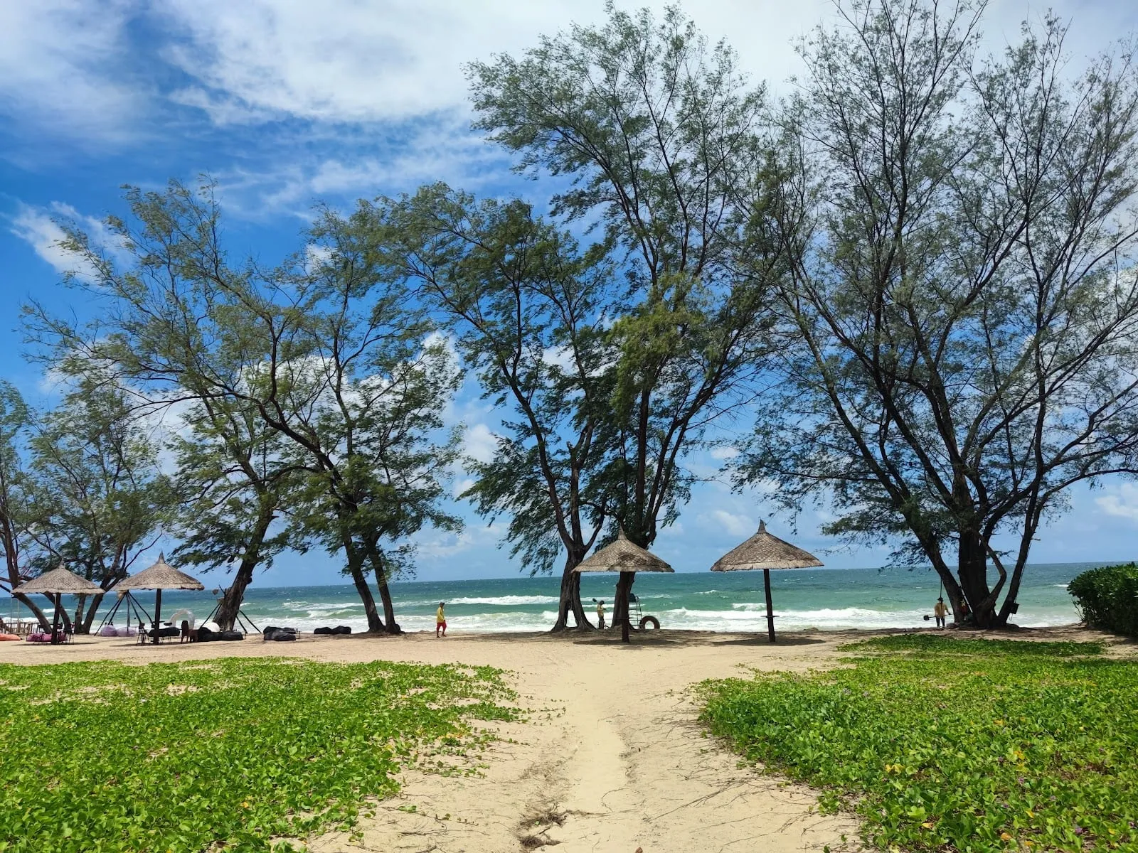 The public beach at Grand World, with casuarina trees and umbrellas