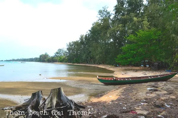 A sandy beach with a green wooden boat on the shore, two tree stumps in the foreground, and a dense line of tropical trees along the coastline next to calm water.