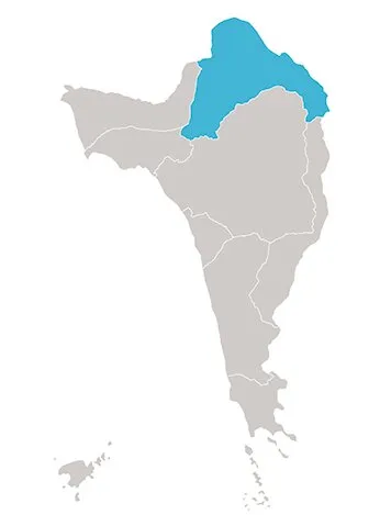 Bai Thom