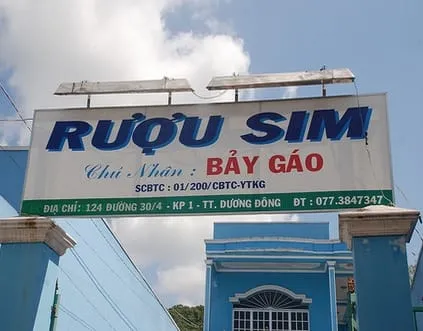 A white and green sign for ‘RƯỢU SIM’ (Sim Wine) with contact details, mounted on a building under a blue sky.
