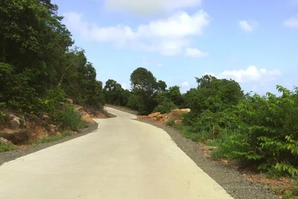 A winding concrete road through a lush green tropical forest under a blue sky with white clouds, with dense foliage on both sides.
