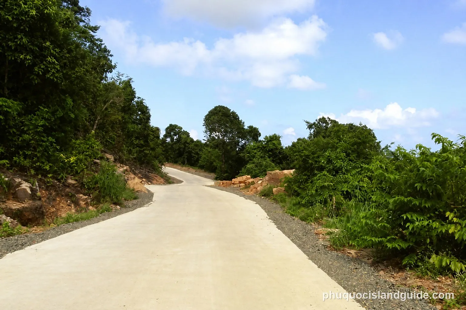A winding concrete road through a lush green tropical forest under a blue sky with white clouds, with dense foliage on both sides.