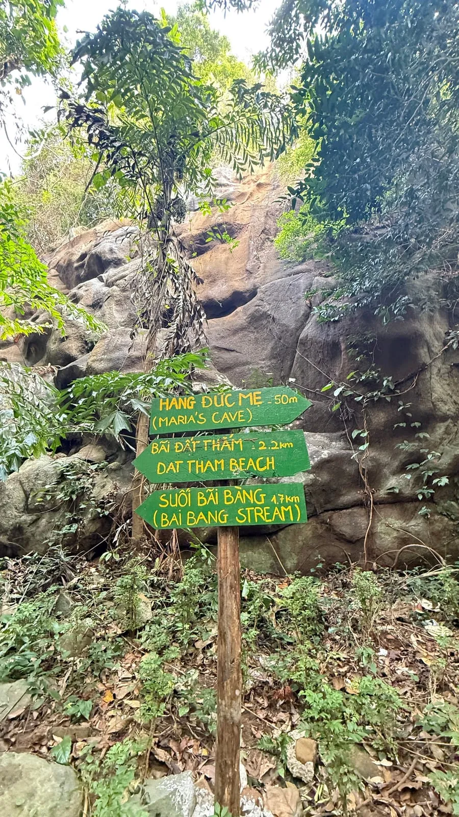 Trail signs in the forest pointing to Hang Duc Me, Dat Tham Beach and Bai Bang Stream