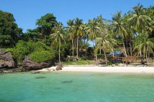 A tropical beach with clear turquoise water, white sand, palm trees, and lush green foliage under a blue sky. A small hut is nestled among the trees.