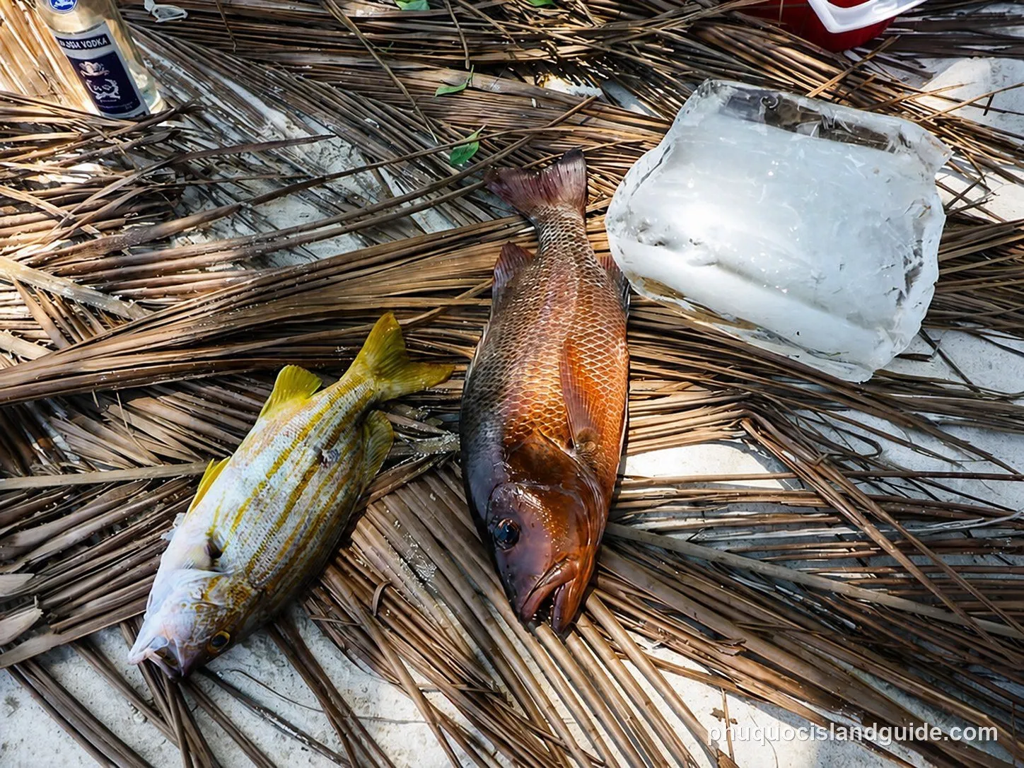 Two freshly caught fish on palm fronds on the sand