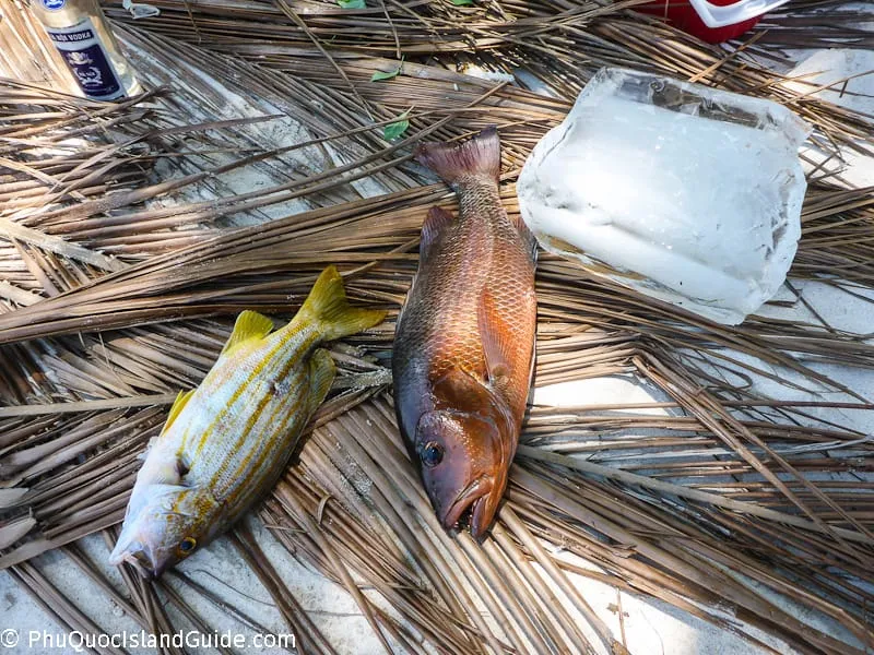 deep sea fishing in phu quoc