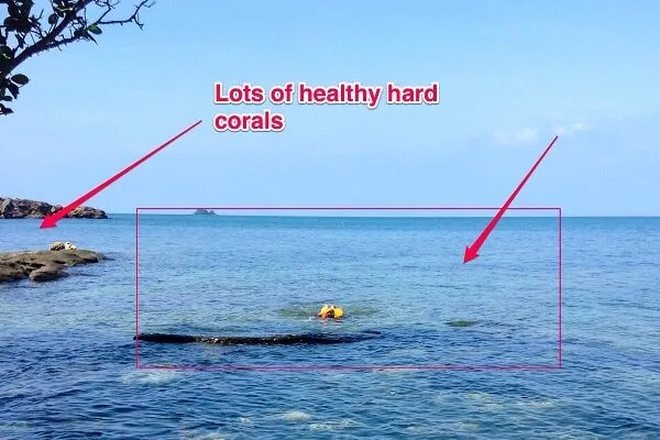 Snorkeling In Phu Quoc