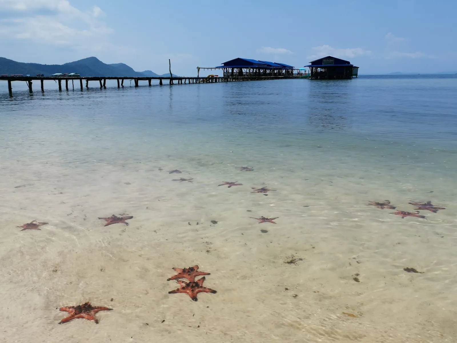 Starfish in the shallows off Rach Vem, with the wooden walkways to the floating restaurants behind
