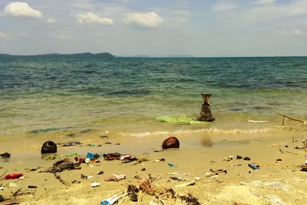 Lang Chai Ganh Dau