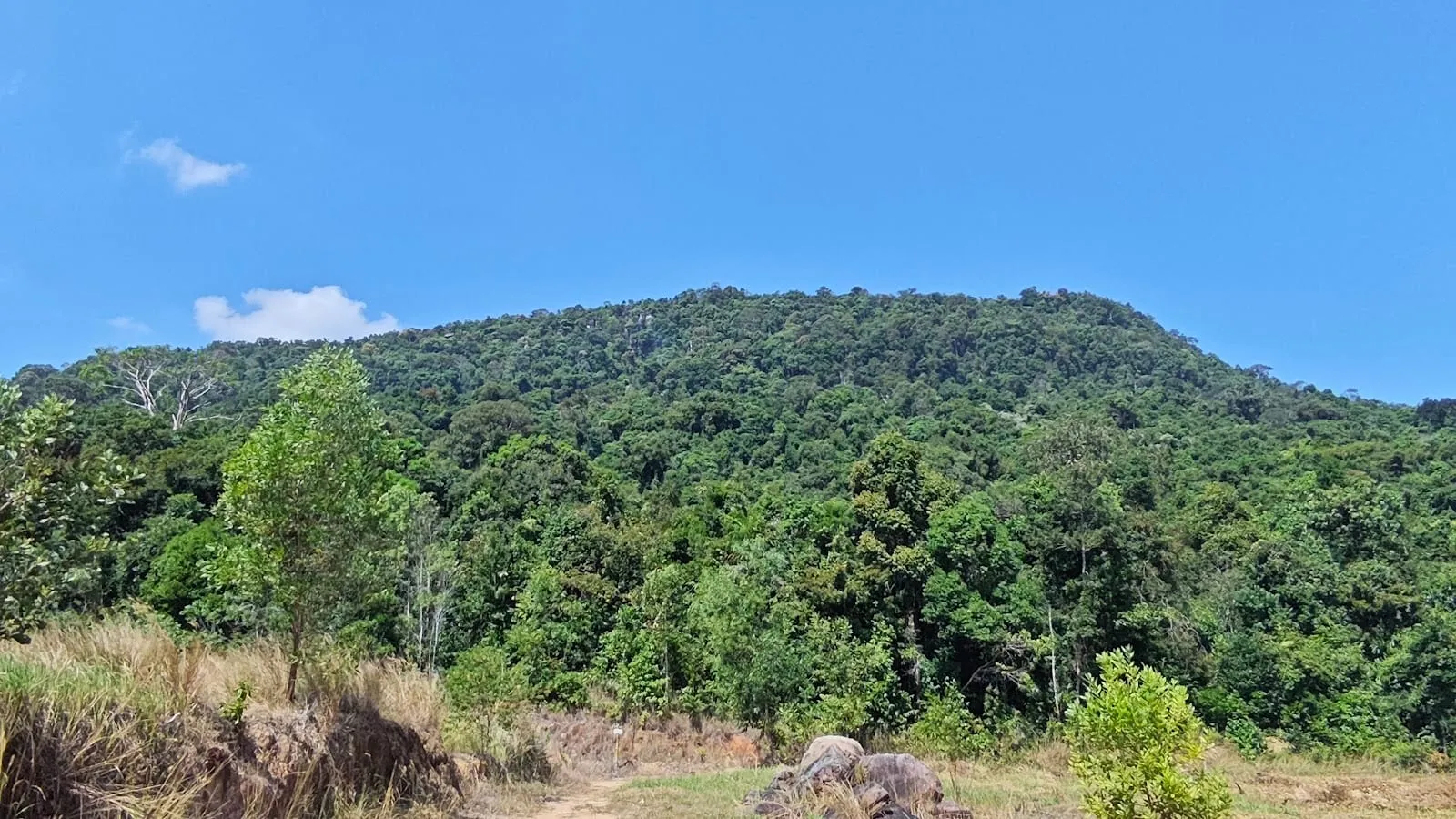 The forested ridge of Ham Ninh mountain under a blue sky