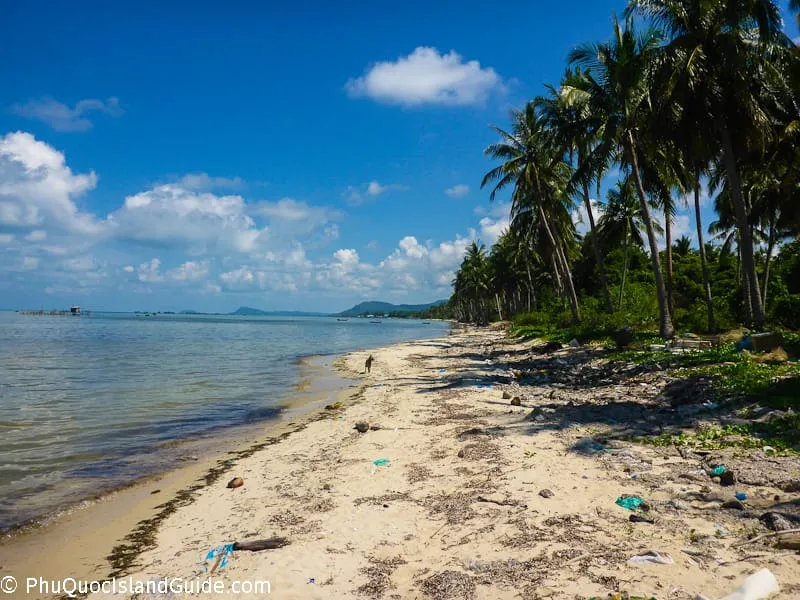 A tropical beach with palm trees lining a sandy shore, clear blue water, and a bright blue sky with white clouds. Some debris is visible on the sand.