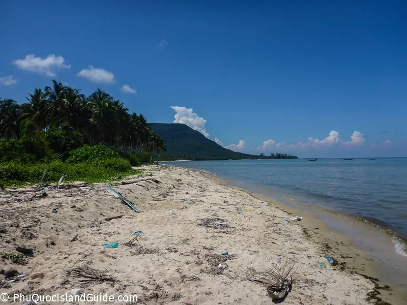 A tropical beach with palm trees lining the shore, a sandy beach with some debris, and calm blue ocean water under a clear sky. A mountain is in the distance.