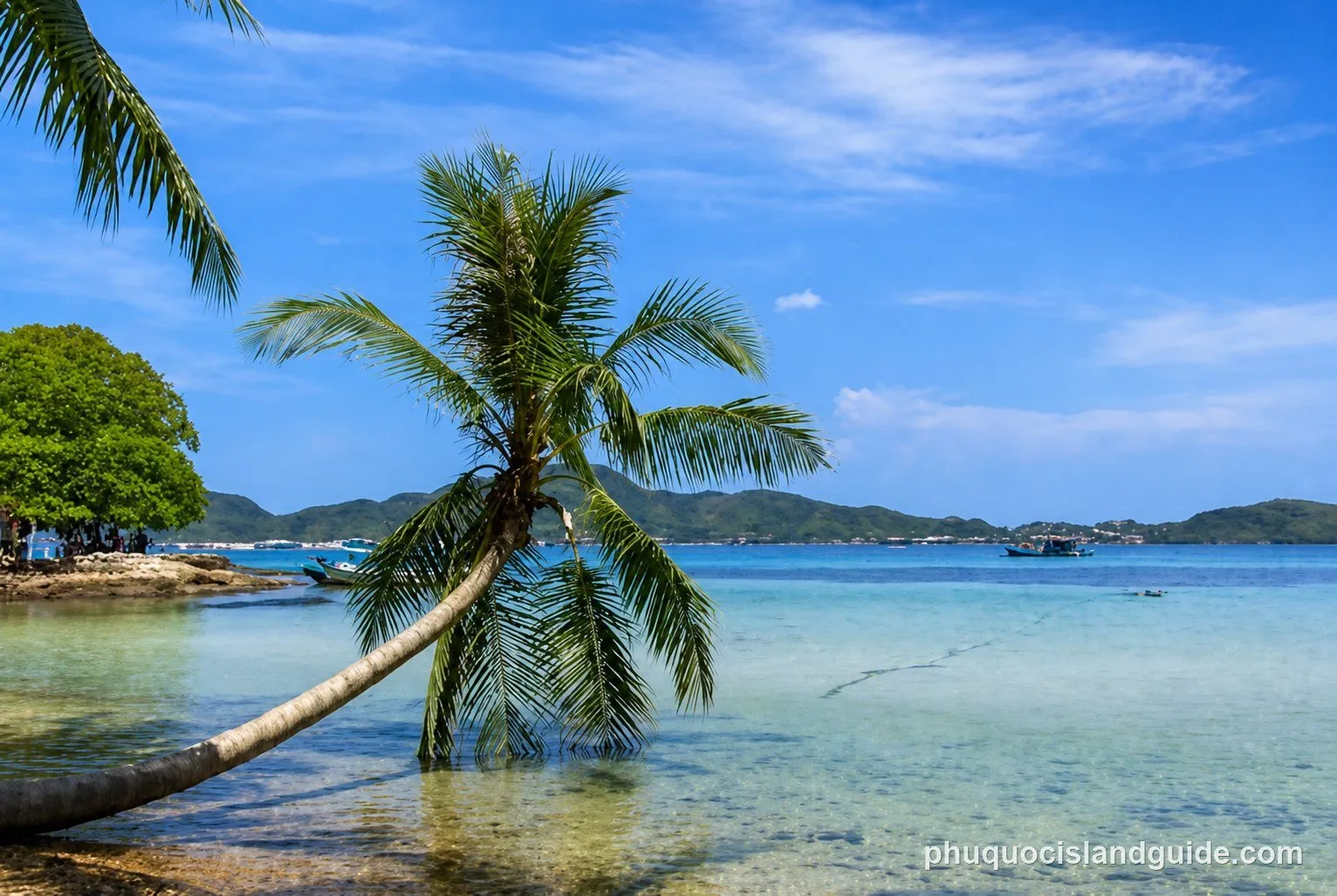 A tropical beach scene with a palm tree leaning over clear turquoise water, a sandy shore, and distant green hills under a bright blue sky.