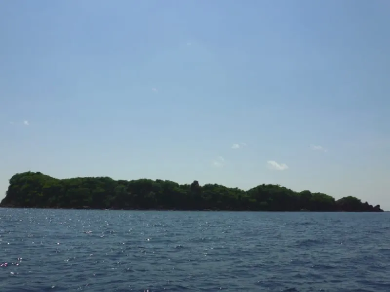 A lush green island seen from the sea under a clear blue sky. The island is covered with dense trees, and the water is calm with small ripples.