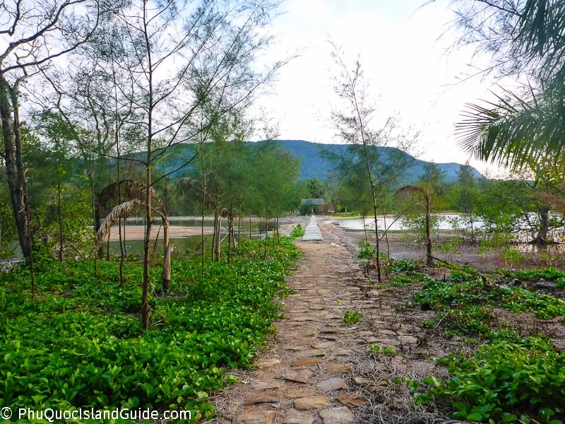 A stone path leads through lush tropical greenery towards a wooden pier extending over calm water, with a small building and mountains in the background under a bright sky.