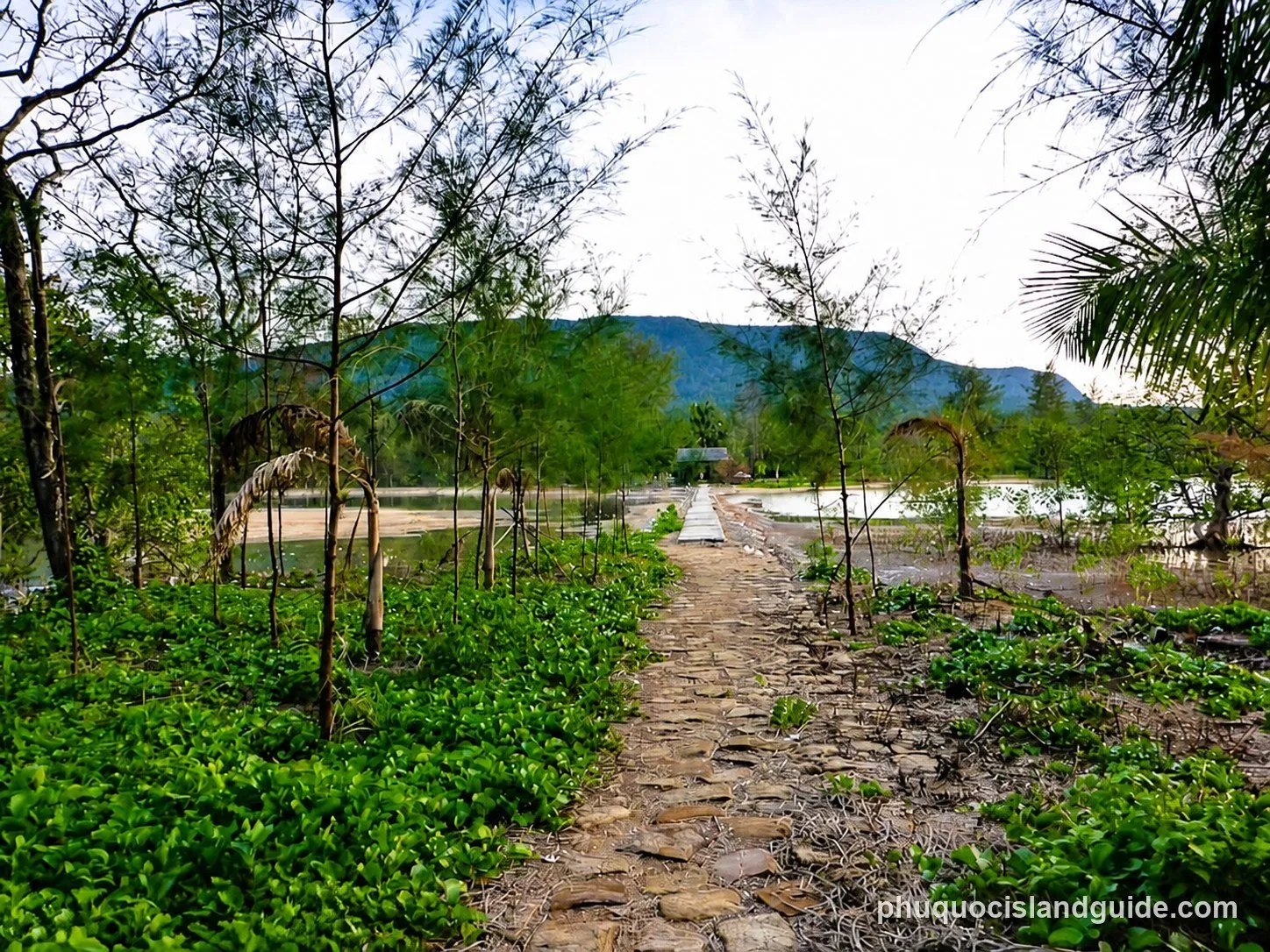 A stone path leads through lush tropical greenery towards a wooden pier extending over calm water, with a small building and mountains in the background under a bright sky.
