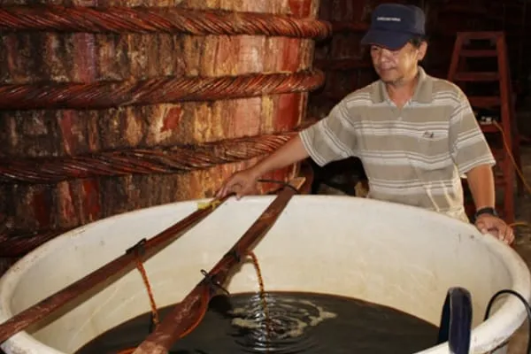 A man in a cap and striped shirt works with large vats, possibly for fish sauce production, with large wooden barrels in the background.