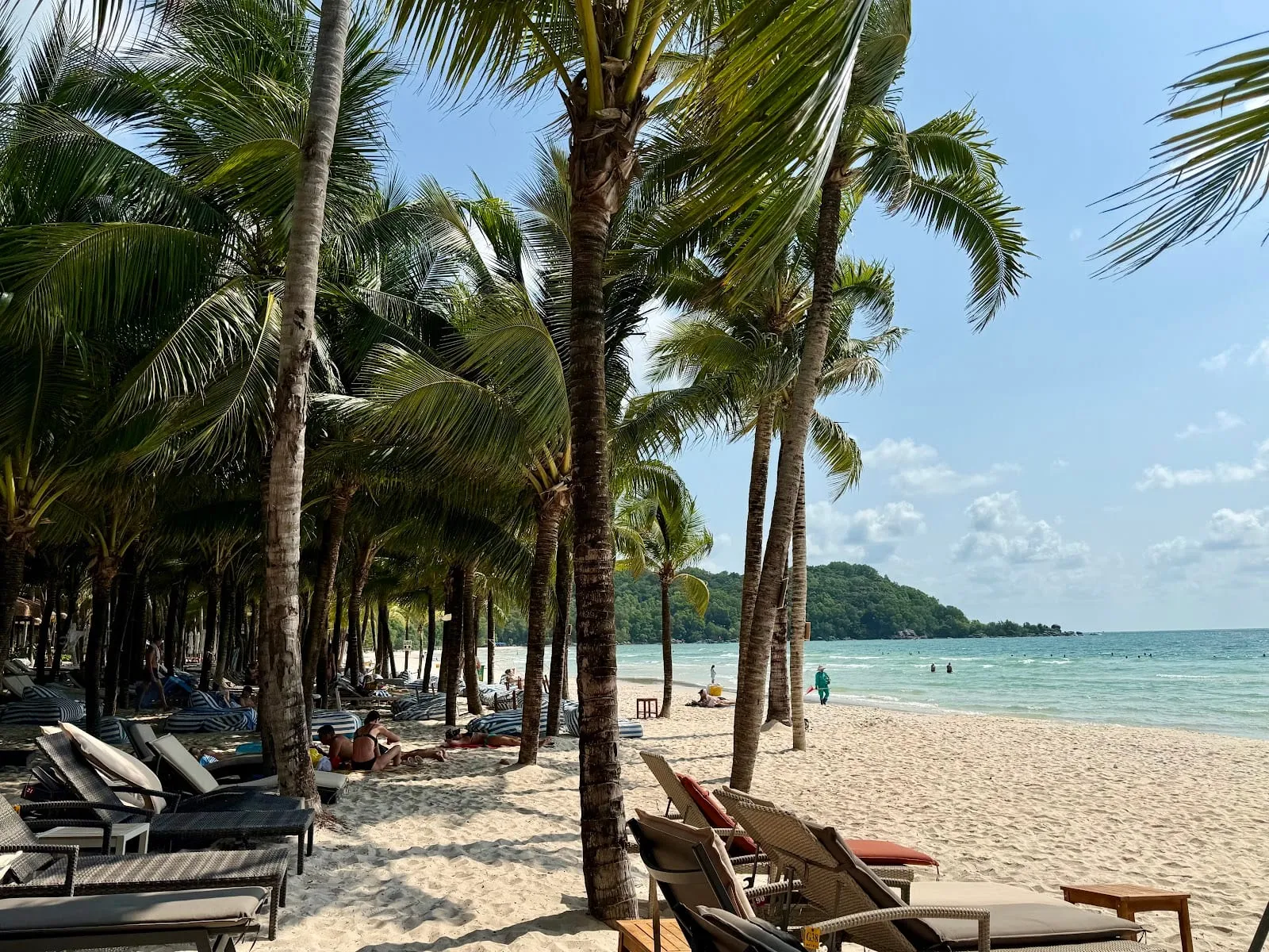 Sunbeds under coconut palms at Khem Beach