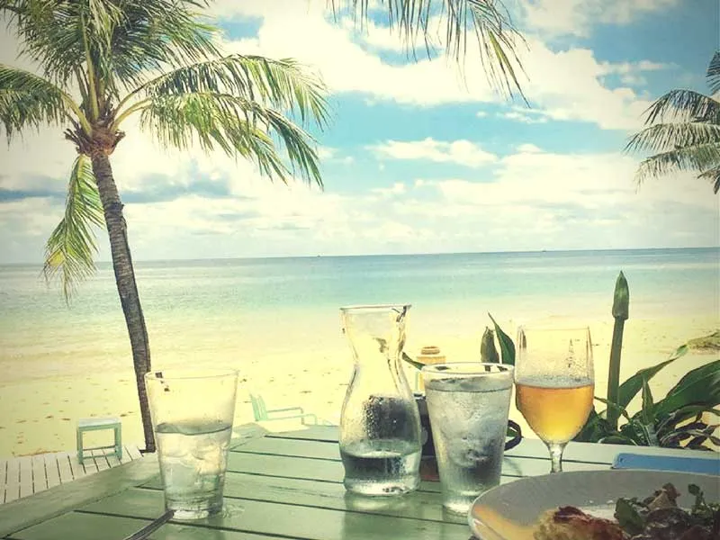 A view from a table with drinks and a plate, looking out at a tropical beach with a palm tree and the ocean under a blue sky.