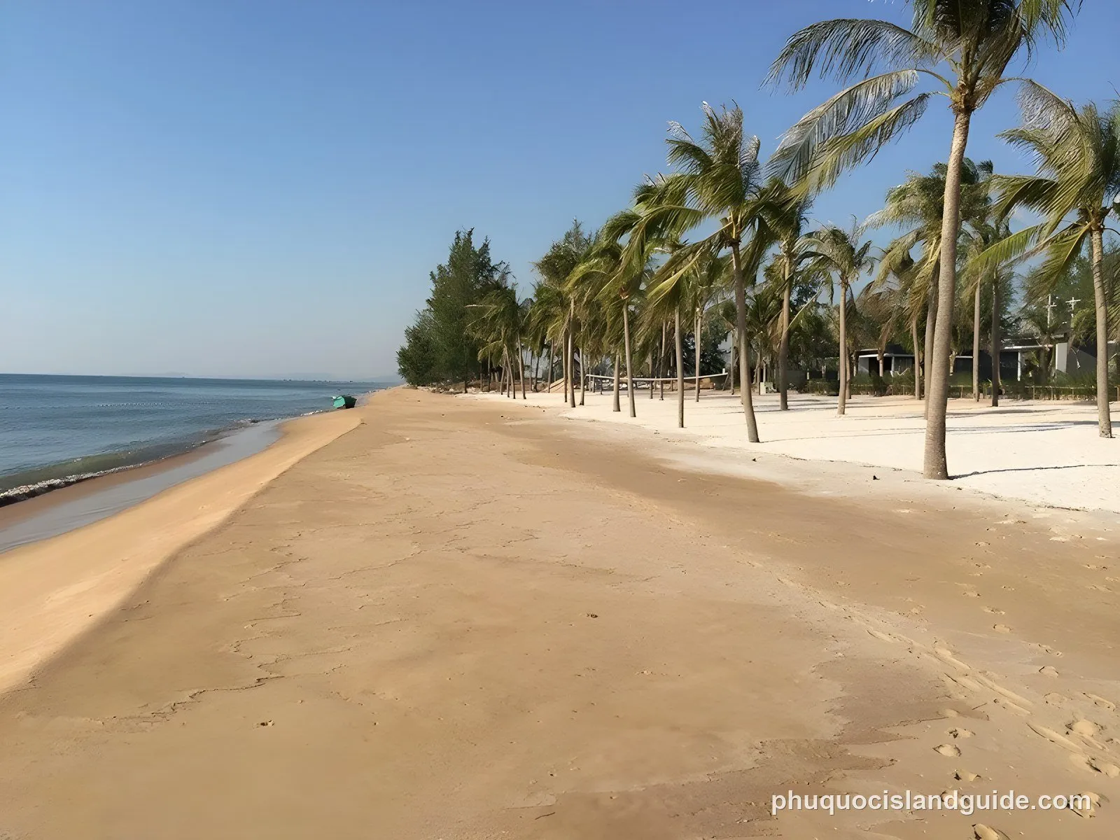 Wide sandy beach lined with palm trees on Long Beach