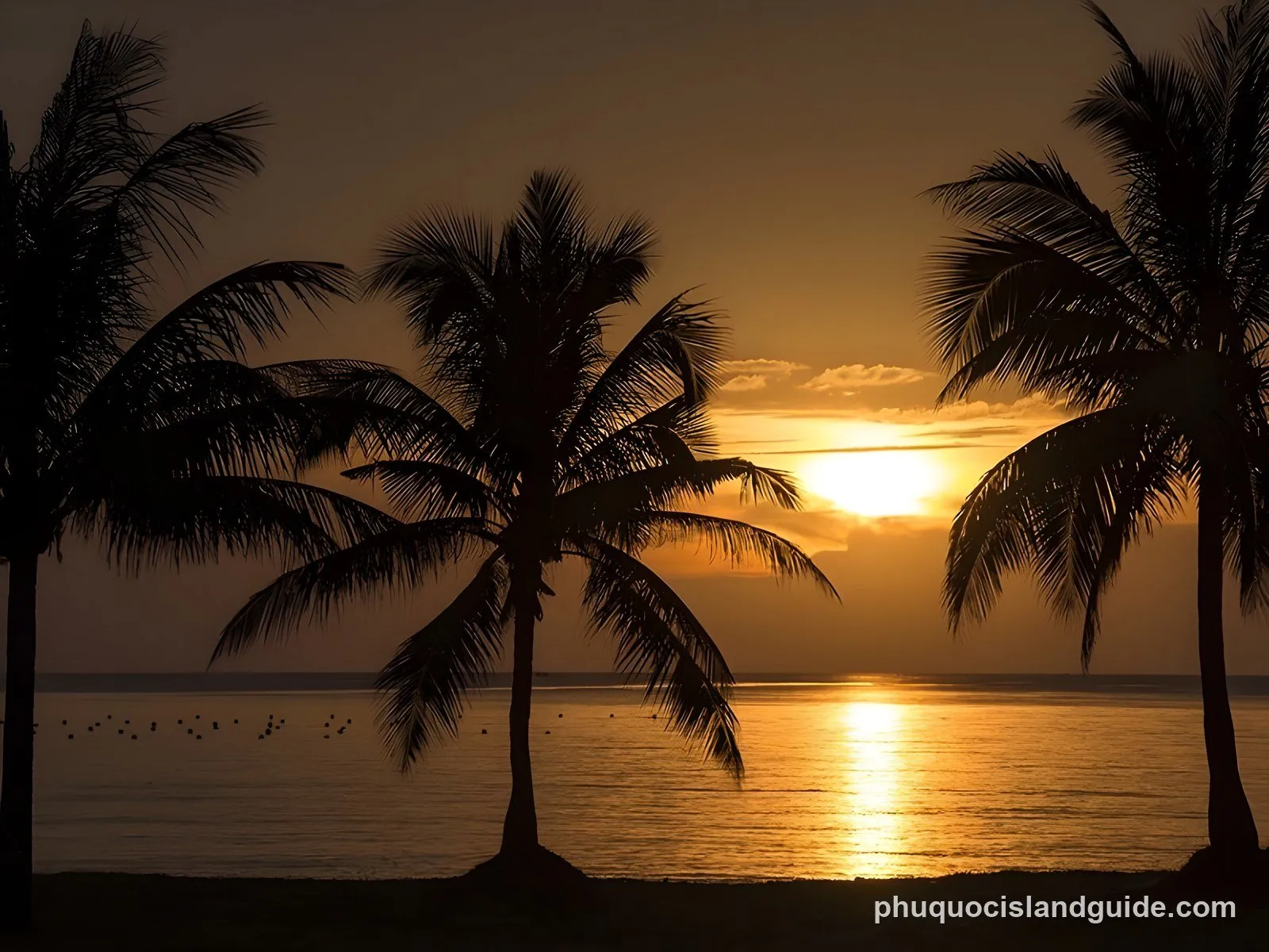 Silhouettes of palm trees against a vibrant orange and yellow sunset over the ocean, with the sun reflecting on the water.
