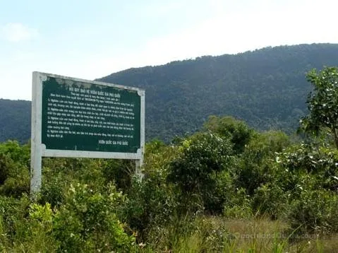 mount chua phu quoc