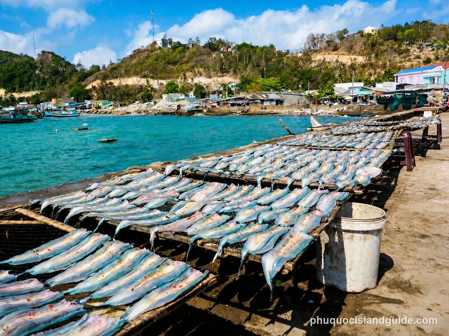 Rows of fish laid out on wooden racks to dry on a concrete pier next to a bay with turquoise water, fishing boats, and houses on a green hillside under a blue sky.