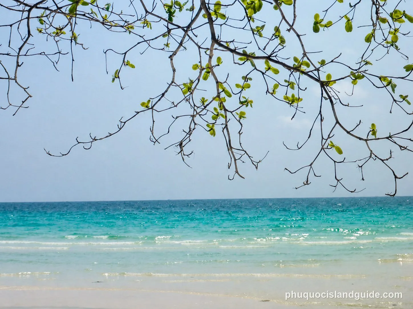 View of a tropical beach with clear turquoise ocean water and white sand, framed by tree branches with green leaves against a bright blue sky.
