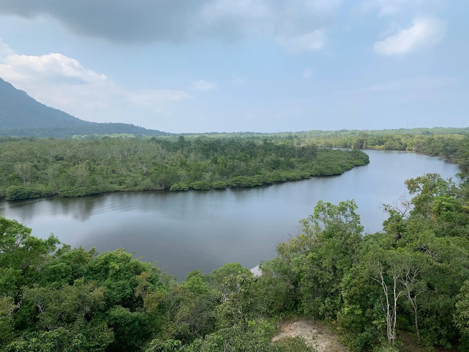 The river and forest seen from a lookout in Phu Quoc National Park