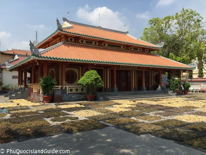 medicine at the nguyen trung truc temple