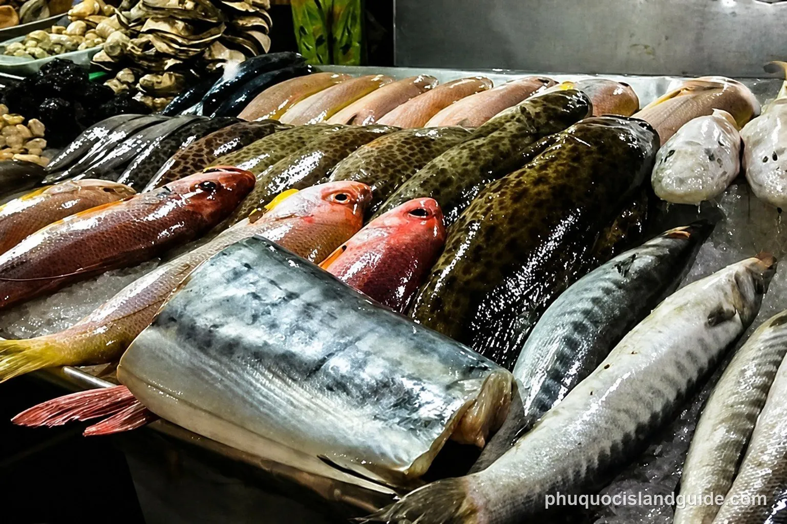 Phu Quoc Night Market