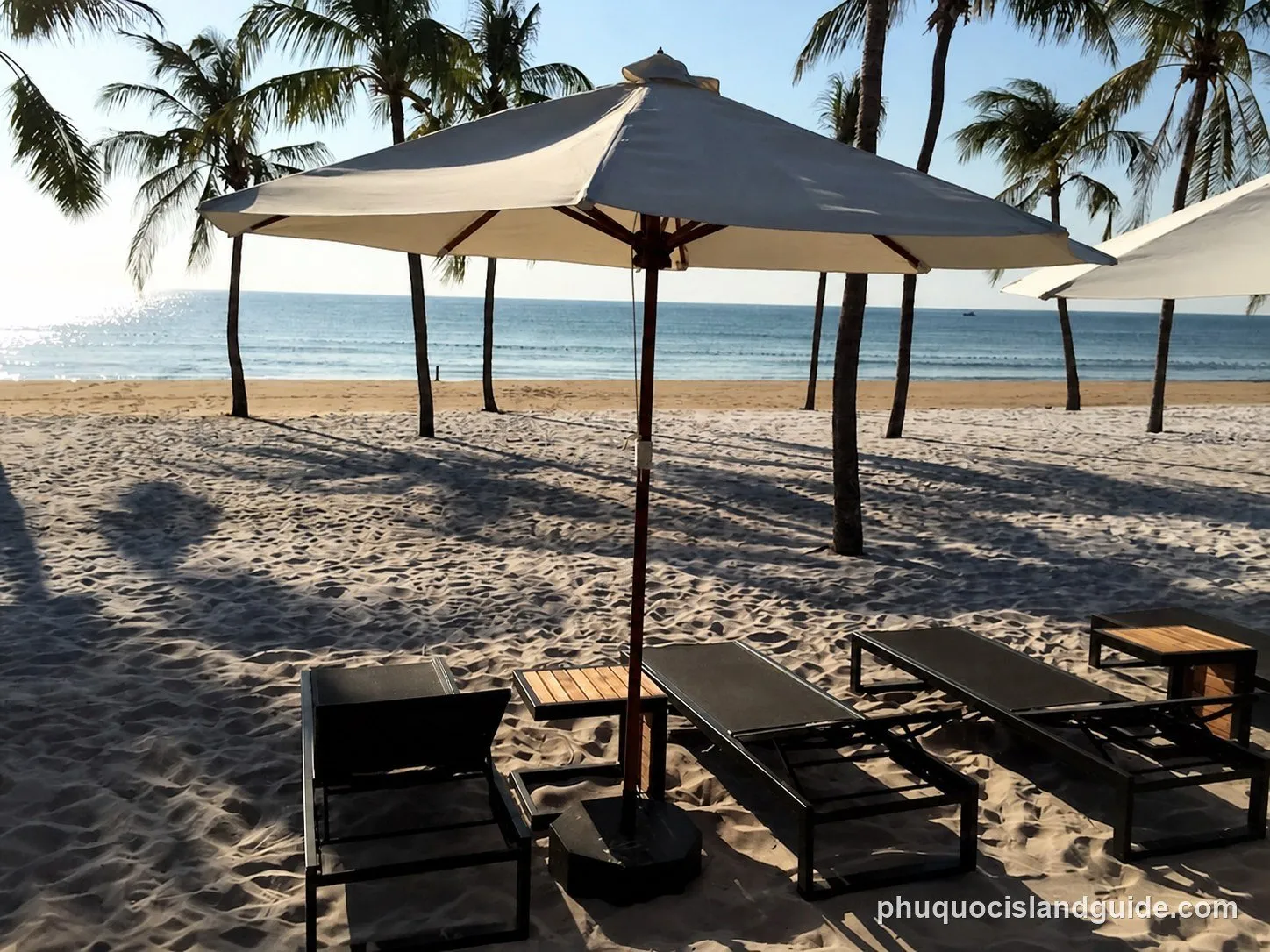 Palm trees, parasols and sunbeds on a resort beach
