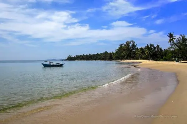 A serene tropical beach scene with a small boat floating on calm turquoise water, a sandy shore, and lush palm trees under a clear blue sky.