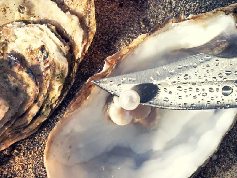 A close-up shot of an open oyster shell on sand, revealing a pearl being extracted by a knife with water droplets. Another oyster is nearby.