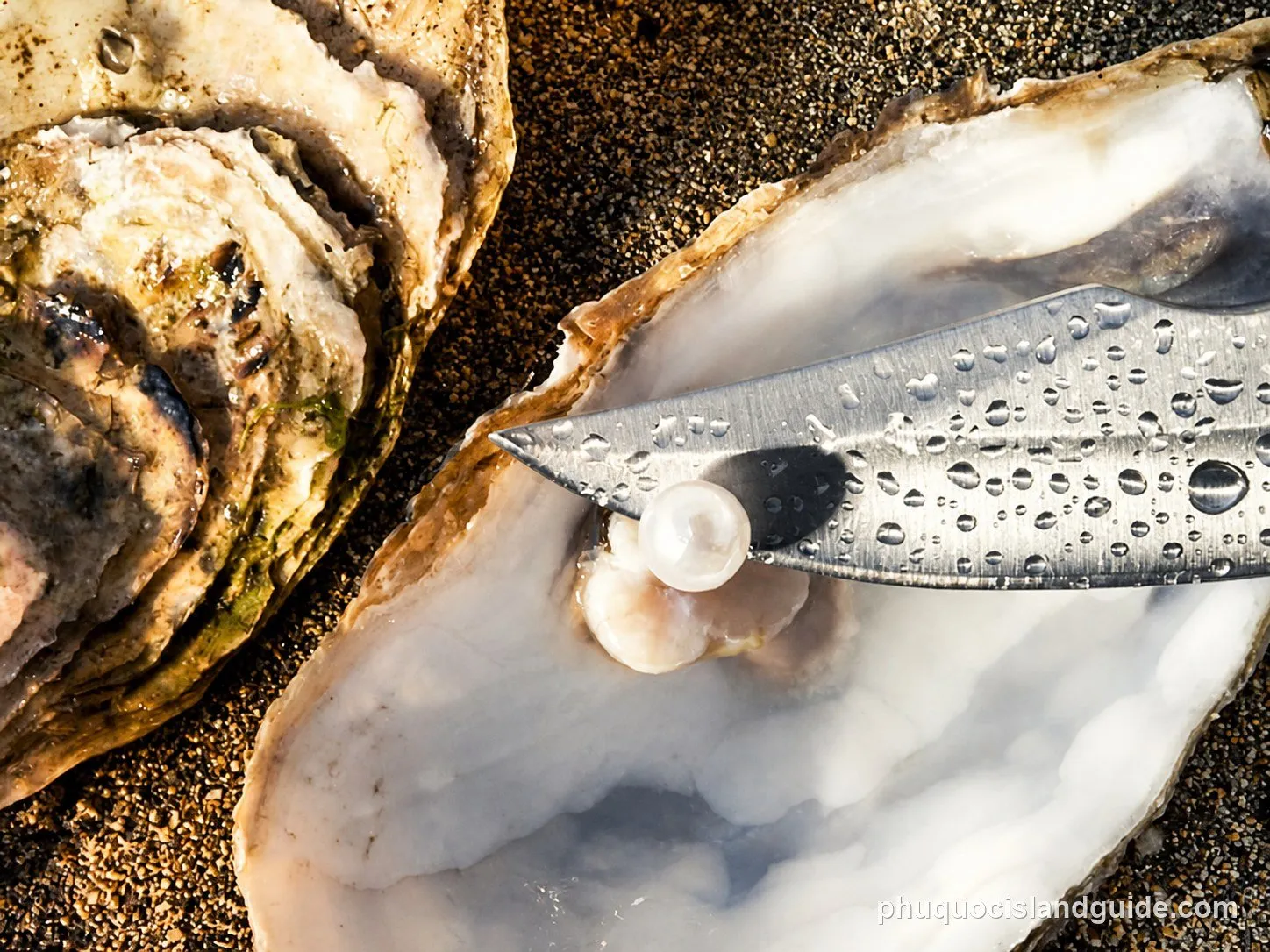 A close-up shot of an open oyster shell on sand, revealing a pearl being extracted by a knife with water droplets. Another oyster is nearby.