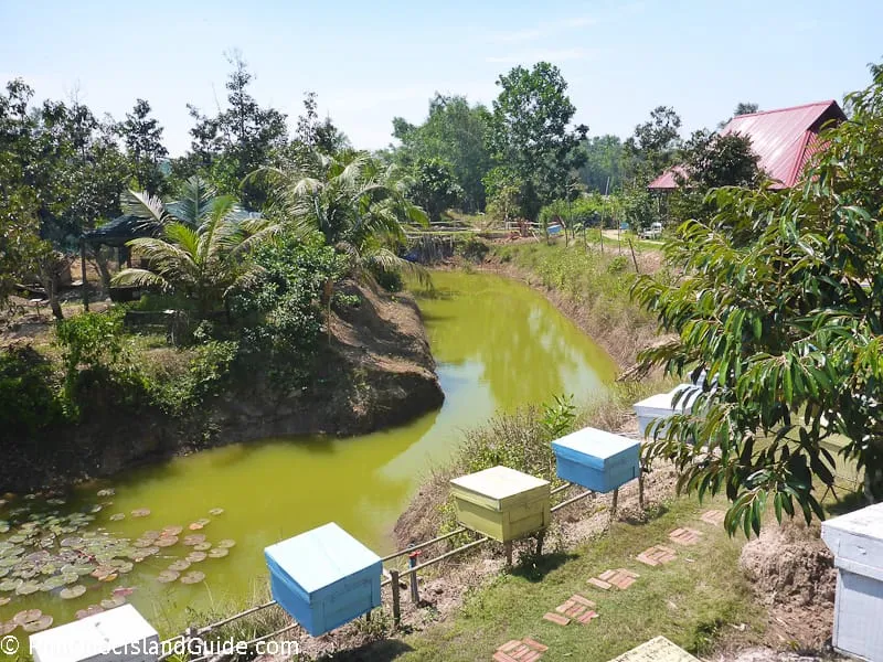 phu quoc bee farm