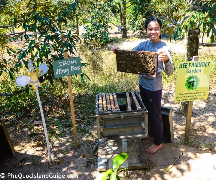 A smiling person holds a beehive frame full of bees next to an open beehive box and signs for ‘Italian Honey Bees’ and a ‘Bee Friendly Garden’.