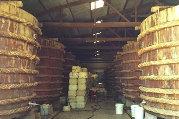 Rows of rope-bound hardwood fermentation vats inside a Phu Quoc fish sauce factory