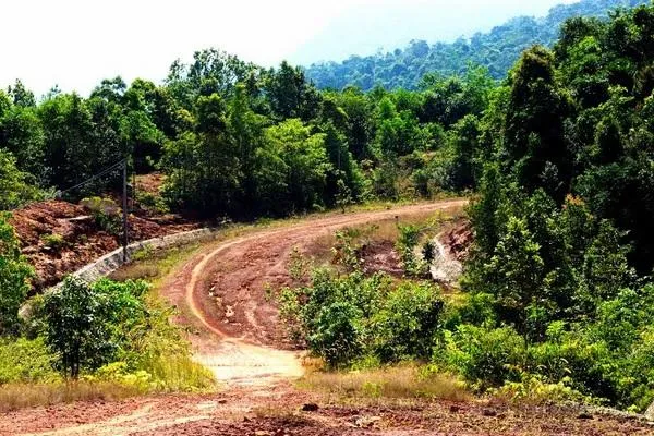 A winding dirt road cuts through a lush green forest on a hillside, with more forested hills in the background under a bright sky.