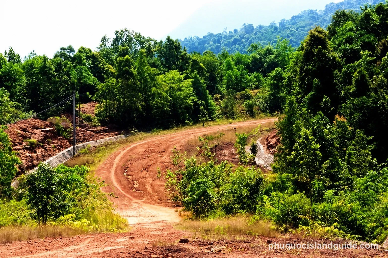 A winding dirt road cuts through a lush green forest on a hillside, with more forested hills in the background under a bright sky.