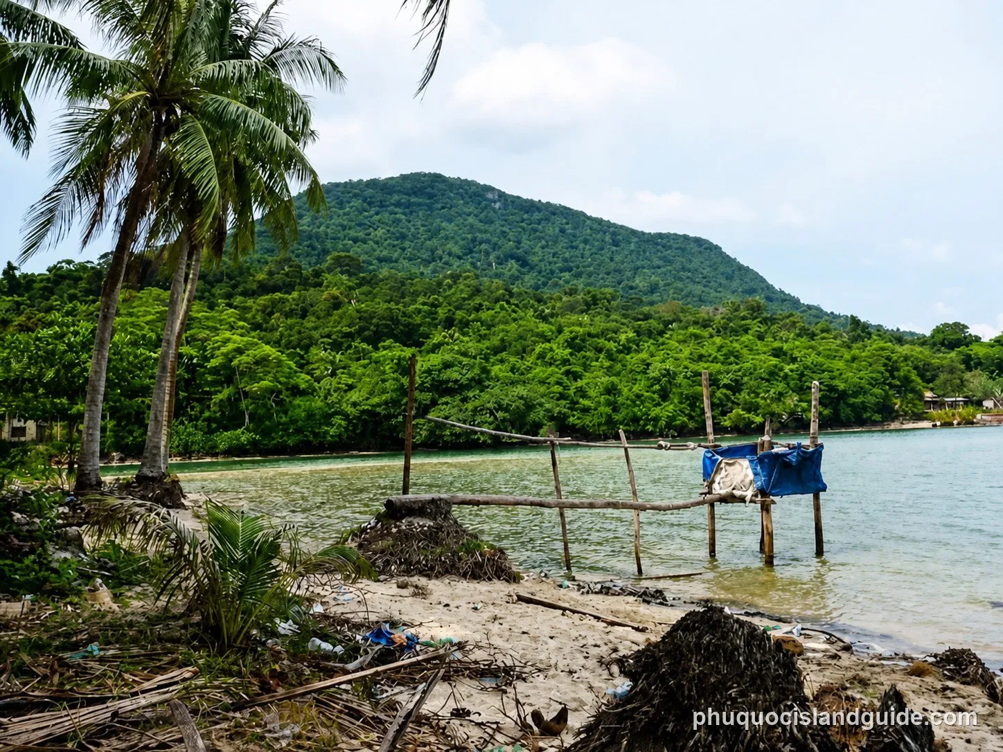 A tropical bay with palm trees on the left, a forested mountain in the background, and a small, makeshift structure in the water. Debris litters the sandy shore.