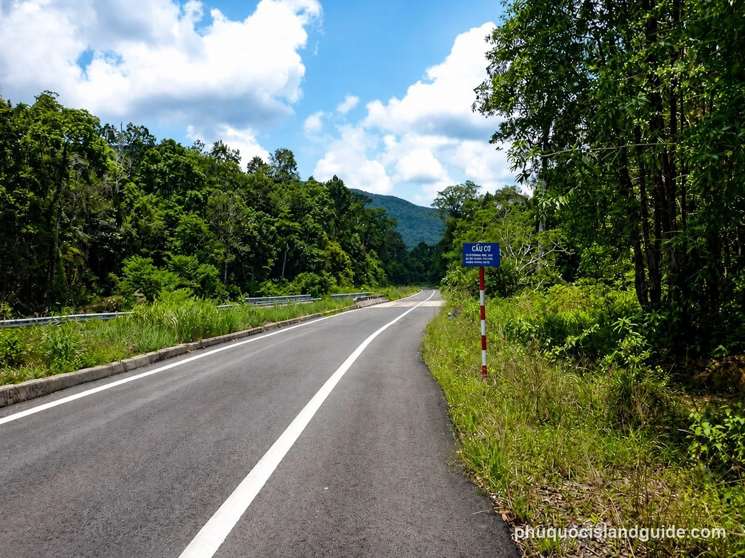 Paved road winding through the forest of the national park
