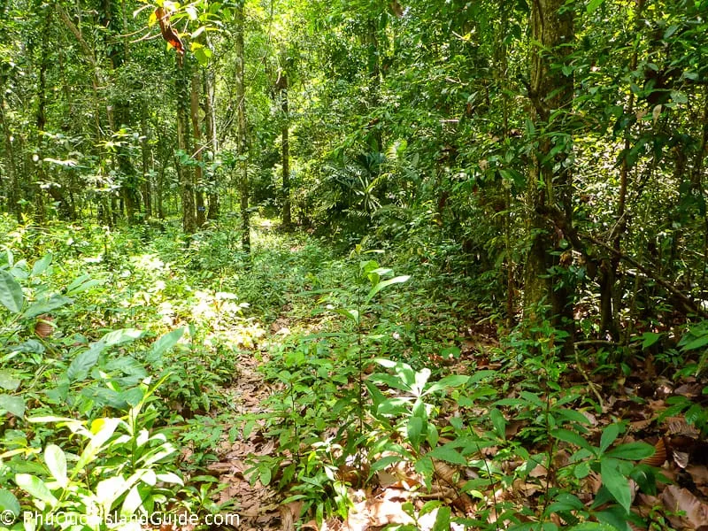 phu quoc national park trail