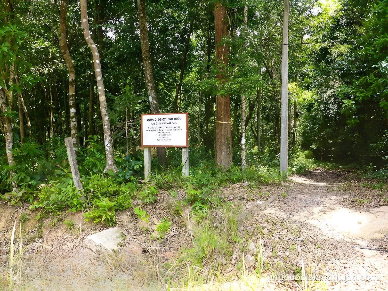 Phu Quoc National Park sign at the edge of the forest, with a path leading in