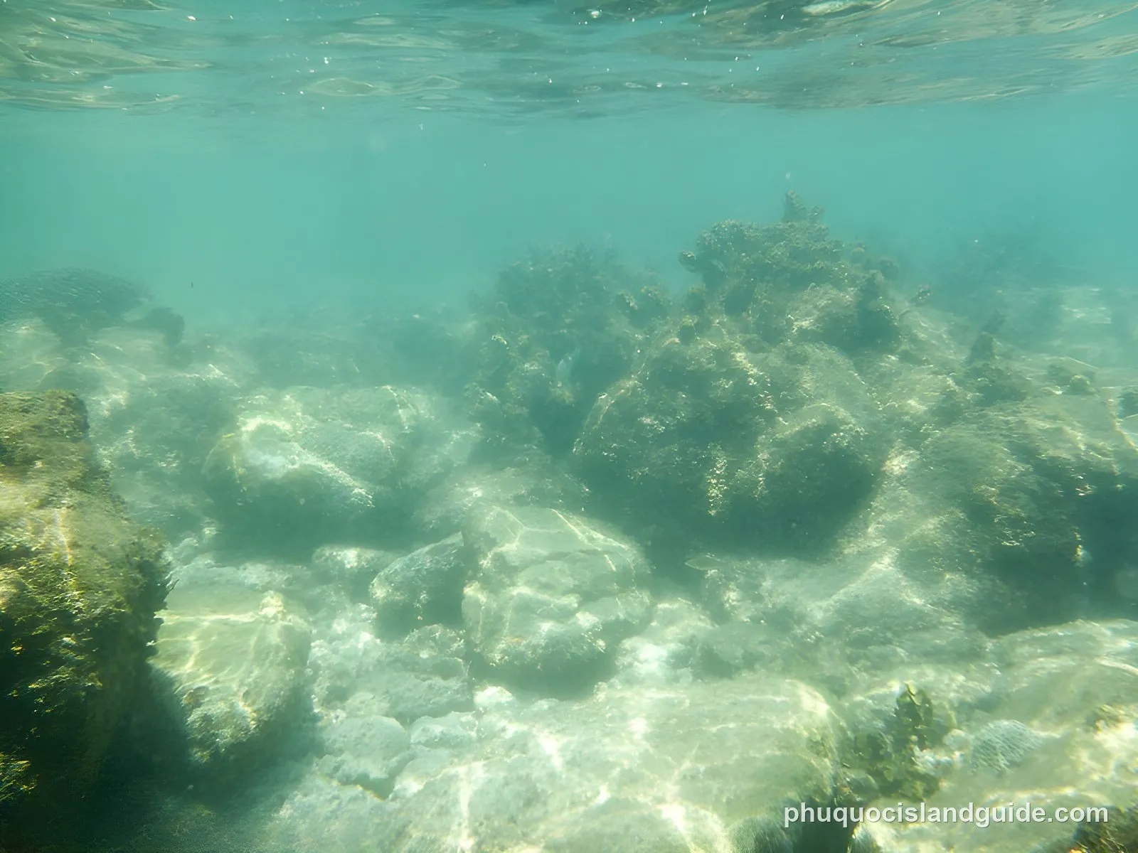 Bare rocks and patchy coral in shallow water off Phu Quoc