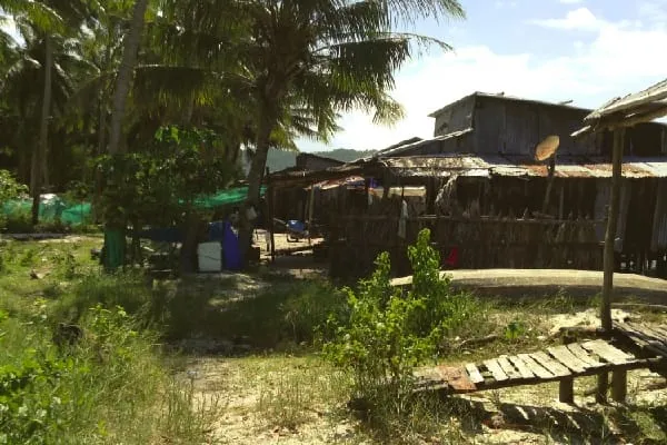 A view of rustic shacks and houses made of corrugated metal and thatch, surrounded by lush palm trees and tropical vegetation on sandy ground.