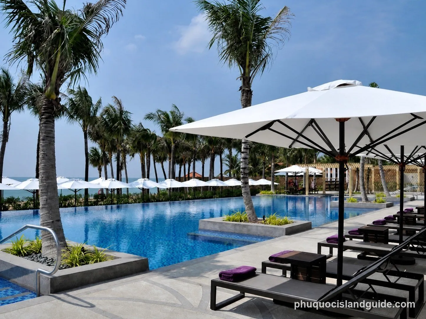 A resort swimming pool with blue water, surrounded by lounge chairs, white umbrellas, and tall palm trees, with the ocean in the background.