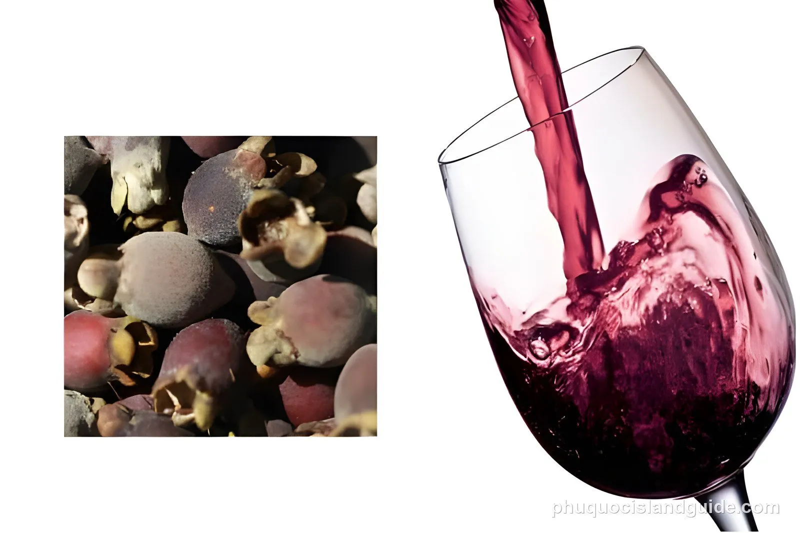 A composite image featuring a pile of dark, round fruits on the left and red wine being poured into a glass on the right.